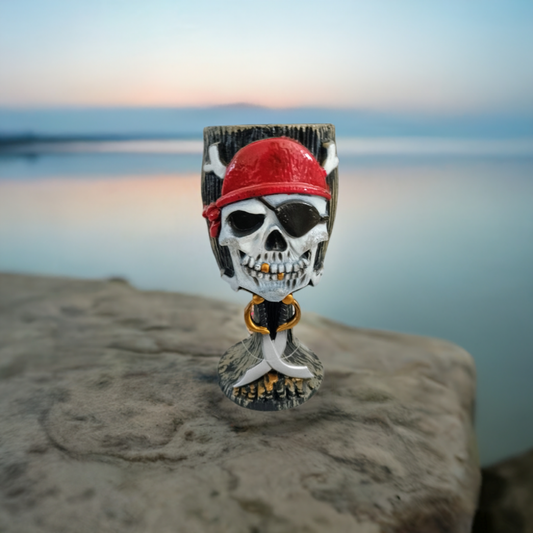 Retro 2009 Hard Plastic Pirate Goblet